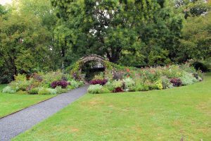 Rose Garden, Flowers