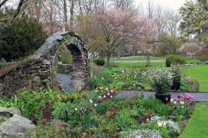 Rose Garden, Flowers