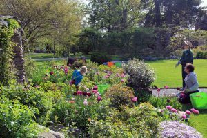 Rose Garden, Flowers