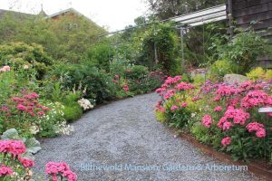 Rose Garden, Flowers