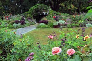 Rose Garden, Flowers
