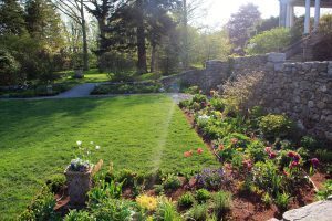 North Garden, Flowers