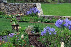 North Garden, Flowers