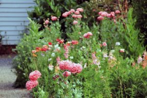 Display Garden