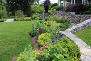 North Garden, Flowers