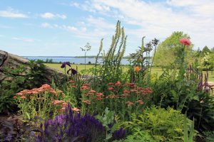 North Garden, Flowers
