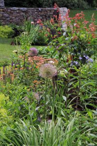 North Garden, Flowers