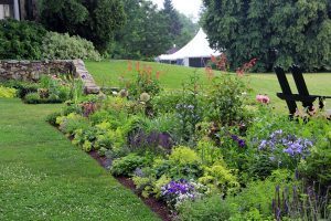 North Garden, Flowers