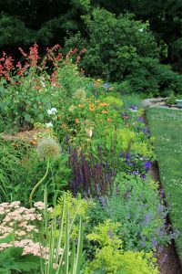 North Garden, Flowers