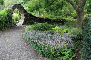 Rose Garden, Flowers