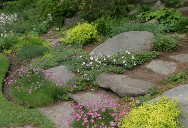 Rock Garden Gallery