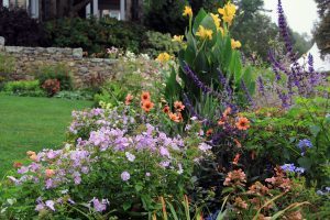 North Garden, Flowers