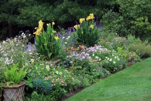 North Garden, Flowers