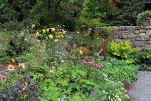 North Garden, Flowers
