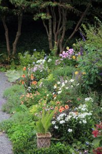 North Garden, Flowers