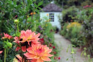 Display Garden