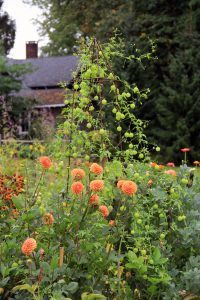 Display Garden