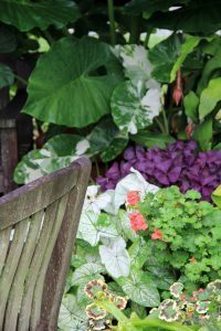 Display Garden