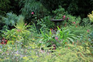 Display Garden