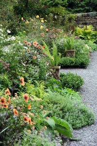 North Garden, Flowers