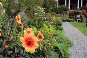 North Garden, Flowers