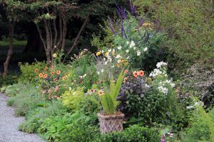 North Garden, Flowers