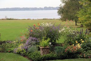 North Garden, Flowers