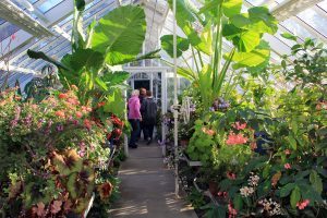 Greenhouse