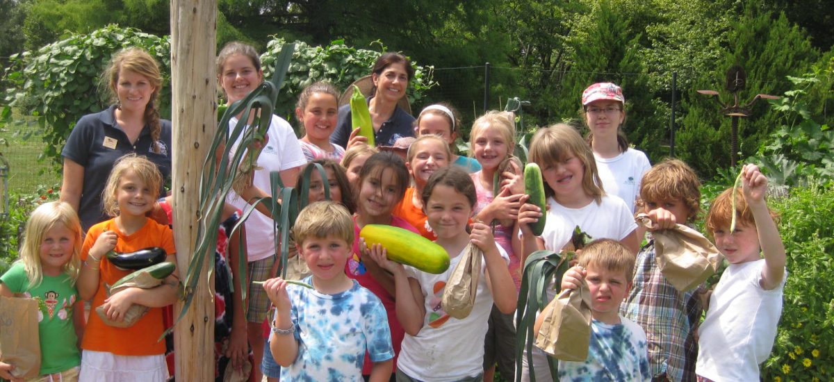 Camp Sequoia Blithewold