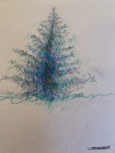 nature drawing with joanne