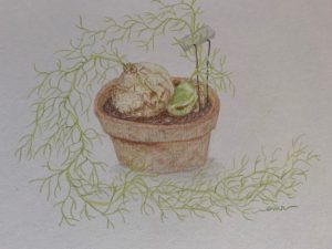 nature drawing with joanne