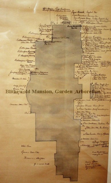 John DeWolf's Original Landscape Plan for Blithewold