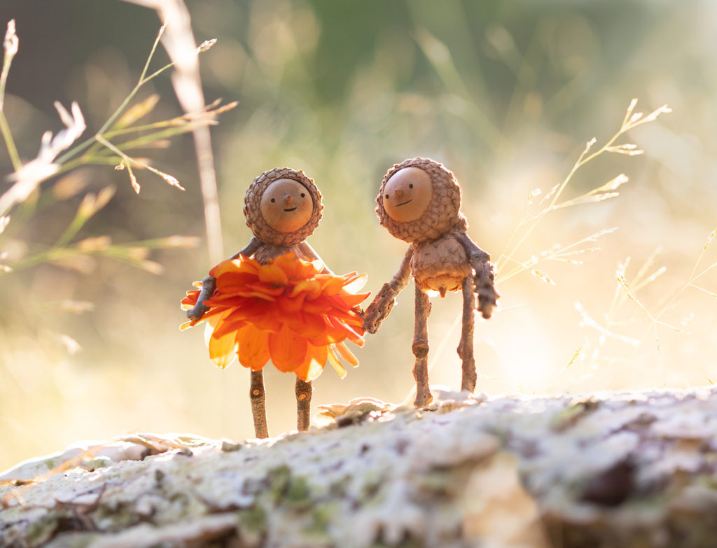 Flower Date Becorns By David Bird Blithewold