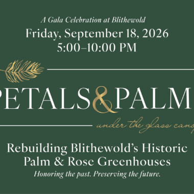 Date_BlithewoldGala_EmailBanner