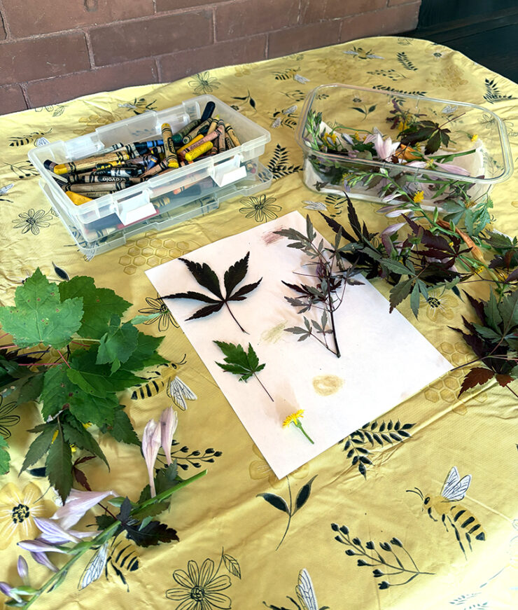 Nature Club wedits 01 web