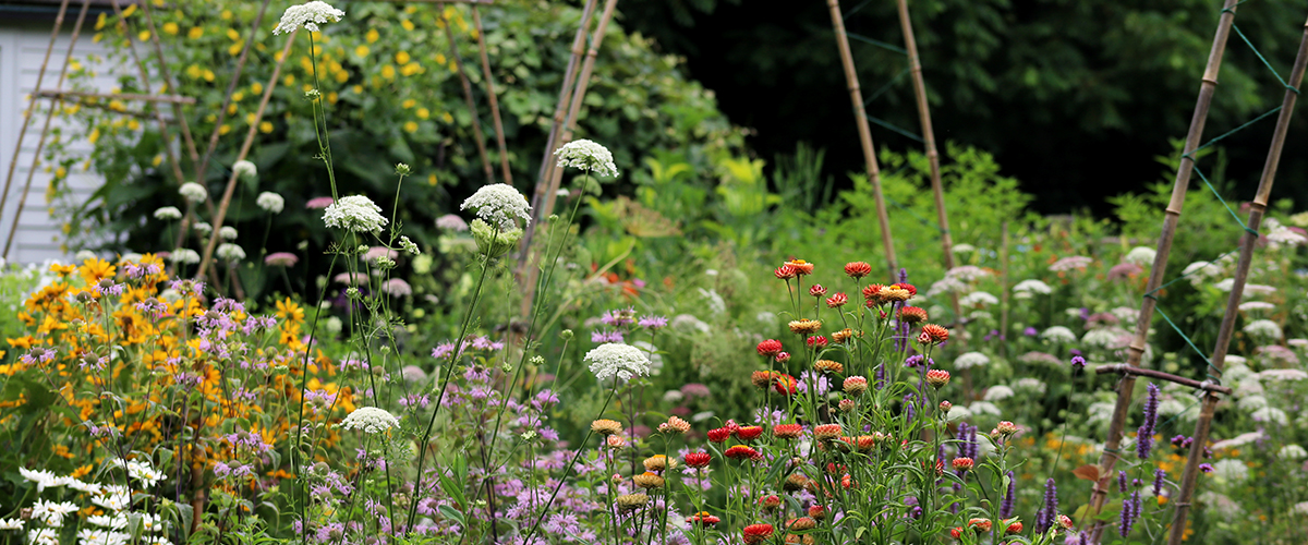 Blithewold, an American Garden Treasure ... Come, and be inspired