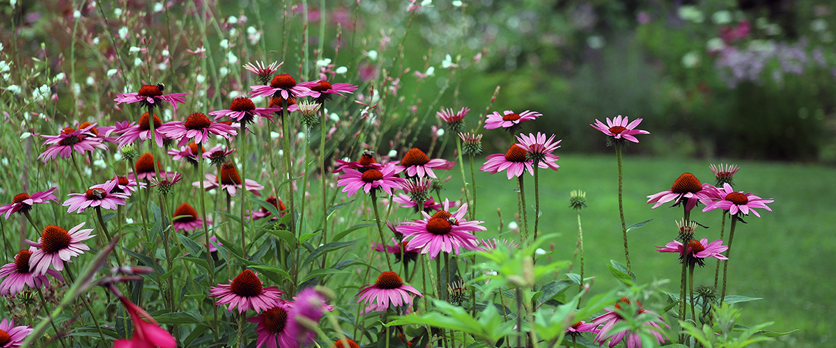 Blithewold, an American Garden Treasure ... Come, and be inspired