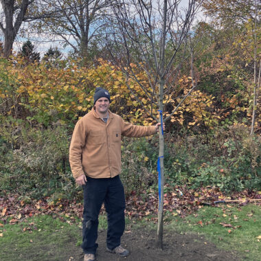 20261107 Marvelous Maples 2 forweb