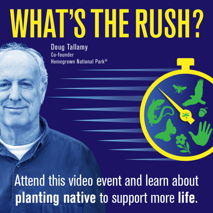 20270130 Movie What_s+the+Rush+Social